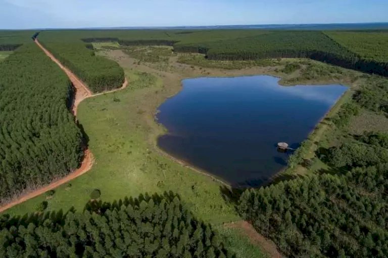Quinta fábrica de celulose de MS terá investimento de R$ 20 bilhões e previsão de 12 mil empregos