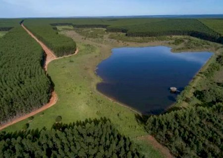Quinta fábrica de celulose de MS terá investimento de R$ 20 bilhões e previsão de 12 mil empregos