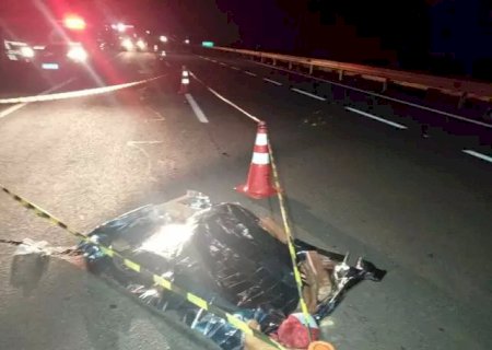 Andarilho morre atropelado por carreta na BR-163.