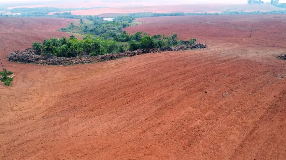 Operação contra desmatamento na Mata Atlântica é deflagrada e mira 46 alvos em MS