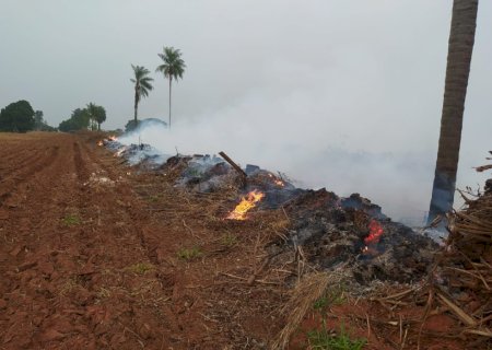 PMA de Batayporã autua infrator por provocar incêndio em restos de vegetação neste período proibido.