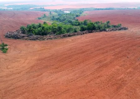 Operação contra desmatamento na Mata Atlântica é deflagrada e mira 46 alvos em MS