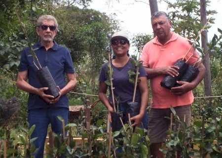 Ivinhema - Agraer estimula a produção de pomares domésticos.