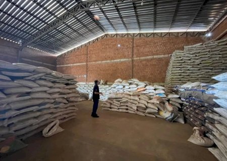 Governo Federal suspende comercialização de 96 toneladas de sementes em MS por irregularidades