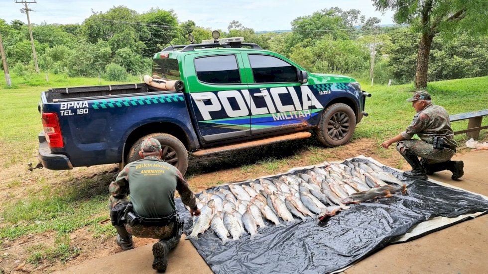PMA autua em R$ 5,4 mil dois pescadores profissionais paranaenses por pesca e transporte ilegal de pescado e apreende 138 kg de peixes.