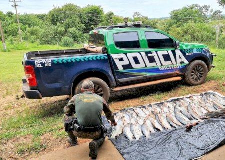 PMA autua em R$ 5,4 mil dois pescadores profissionais paranaenses por pesca e transporte ilegal de pescado e apreende 138 kg de peixes.
