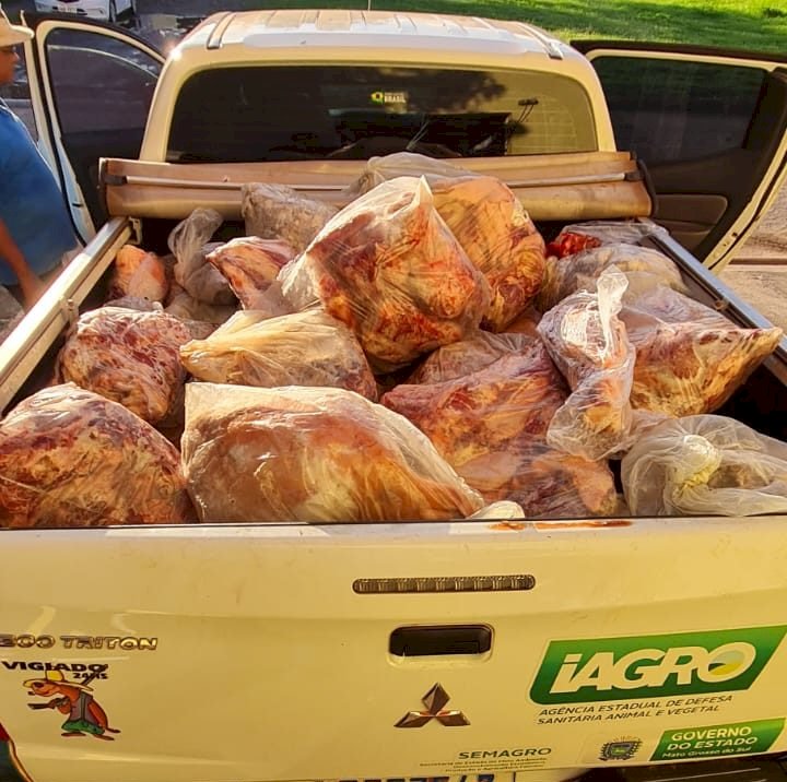 Polícia Civil e IAGRO apreendem 977 kg de carne
