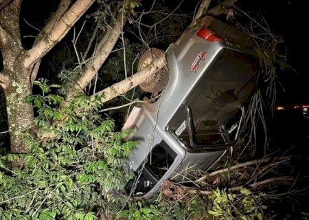 Nova Alvorada do Sul - Homem atropela anta e capota caminhonete na rodovia BR-163.