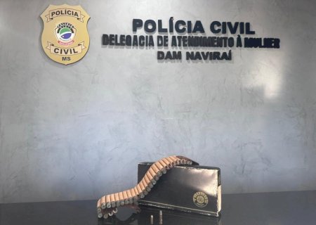 Polícia Civil prende homem por posse ilegal de munição de arma de fogo em Naviraí