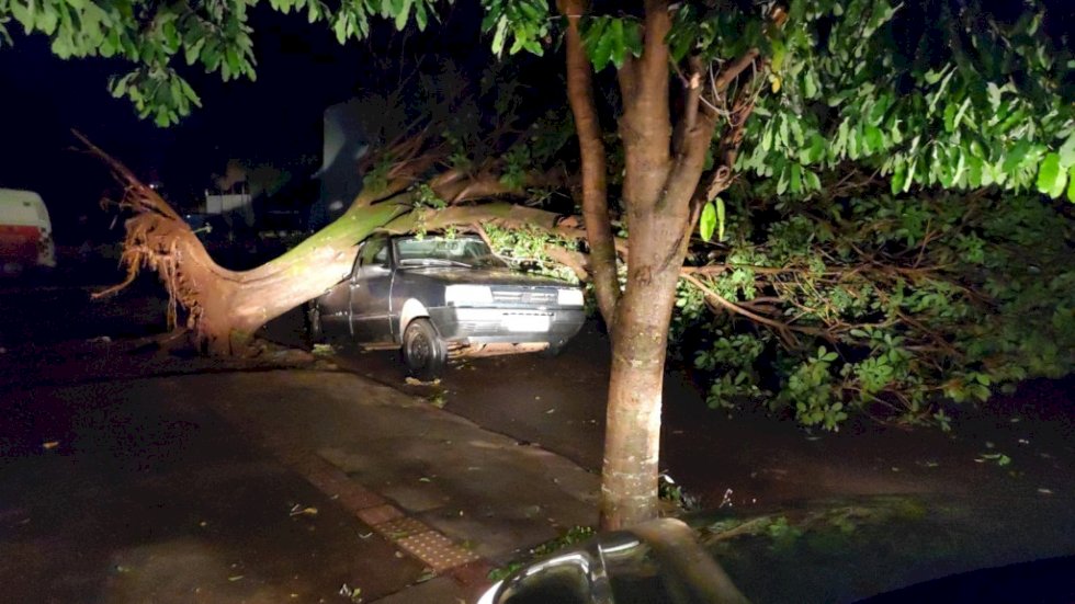 Temporal deixa rastro de destruição e vários bairros em energia em Dourados.