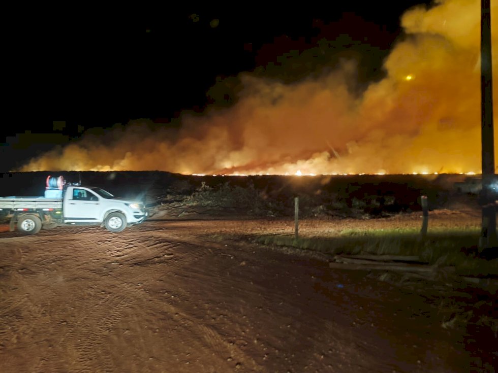 Corpo de Bombeiros Militar em Nova Andradina combate incêndio em plantação de eucaliptos