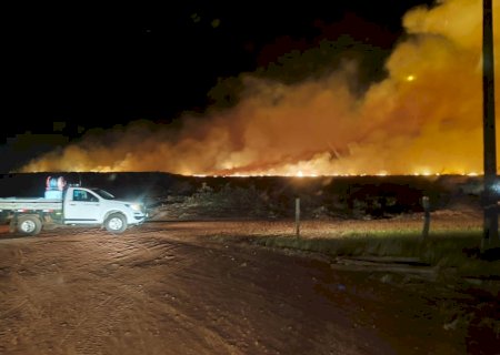Corpo de Bombeiros Militar em Nova Andradina combate incêndio em plantação de eucaliptos