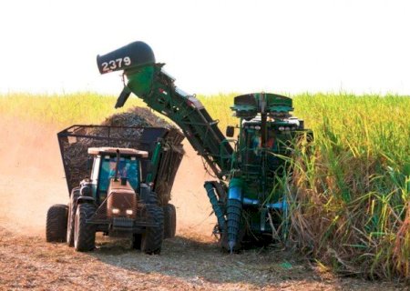 Mesmo com safra ainda em andamento, MS bate recorde de produção açúcar