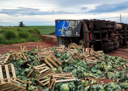 Caminhão carregado com repolhos tomba na MS-276, entre Batayporã e Anaurilândia