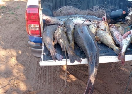 Operação Piracema: Ações Intensificadas e Resultados Significativos Contra a Pesca Predatória