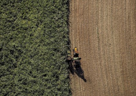 Safra cheia pressiona cotações do etanol, que caem mesmo com demanda em alta