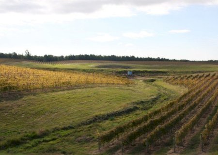 Procedimento para adjudicação de imóveis rurais ao programa de reforma agrária será facilitado