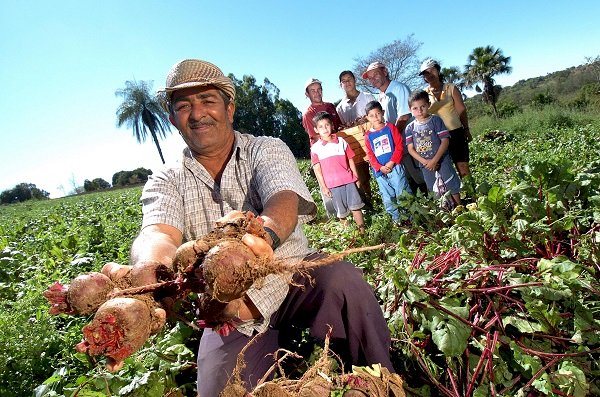 Governo Lula está liberando R$ 435 bilhões para os produtores rurais, o maior financiamento da história