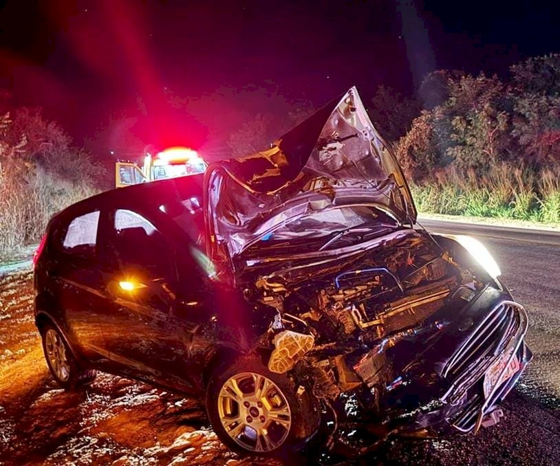 Família se envolve em acidente ao atropelar anta na BR-163
