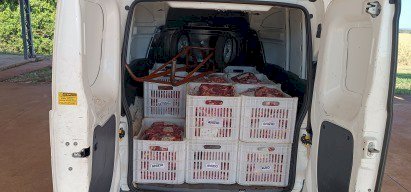 PRF apreende 420 Kg de carne em Nova Andradina