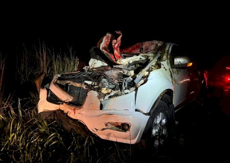 Caminhonete colide em animal na pista na MS-276, região de Batayporã