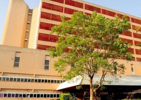 Menino leva mais de mil picadas de abelha e fica em estado grave em hospital de MS
