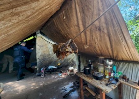 MPT-MS coordena coalizão para prevenir o trabalho escravo no campo