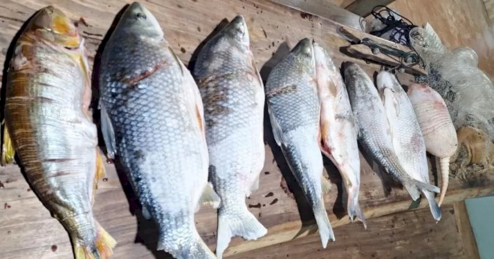 Deodápolis - PMA apreende embarcação e pescado ilegal em operação no Rio Dourados