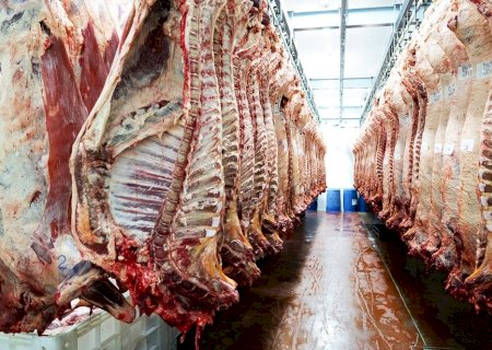 Brasil negocia abertura de mercado da Turquia à carne bovina