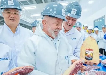 Produção de carnes bate recorde histórico no ano de 2024
