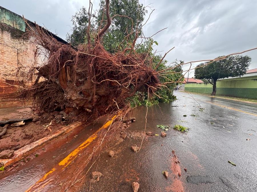 Forte chuva alaga avenidas e deixa rastro de destruição em Nova Andradina e Batayporã