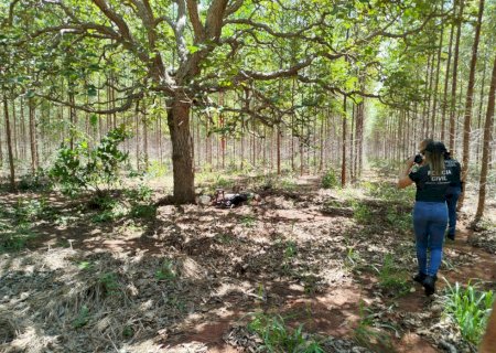 Homem é encontrado sem a cabeça em estrada vicinal e polícia investiga o caso