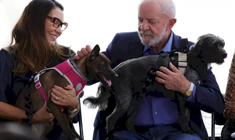 Lula lança programa de identificação e proteção de cães e gatos