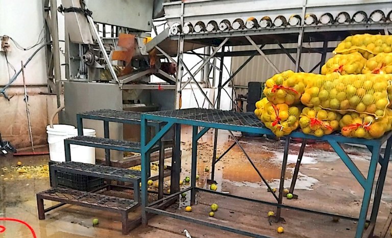 Fábricas de suco são fechadas