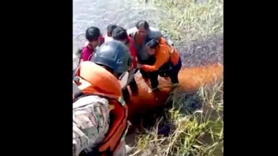 Cinco pessoas sobrevivem após queda de avião em pântano com jacarés