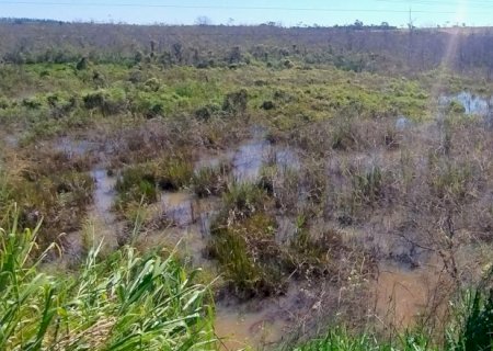Angélica — Reserva de 17 alqueires é destruída pela invasão das águas e areia no Rio Piraveve
