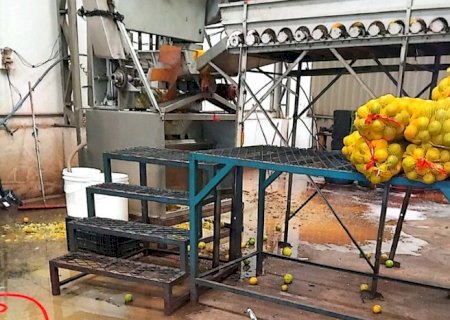 Fábricas de suco são fechadas