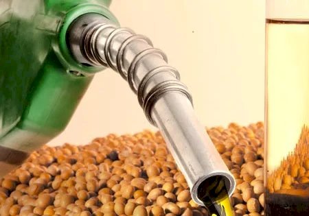 Governo amplia mistura de biodiesel e prevê mais demanda por óleo de soja
