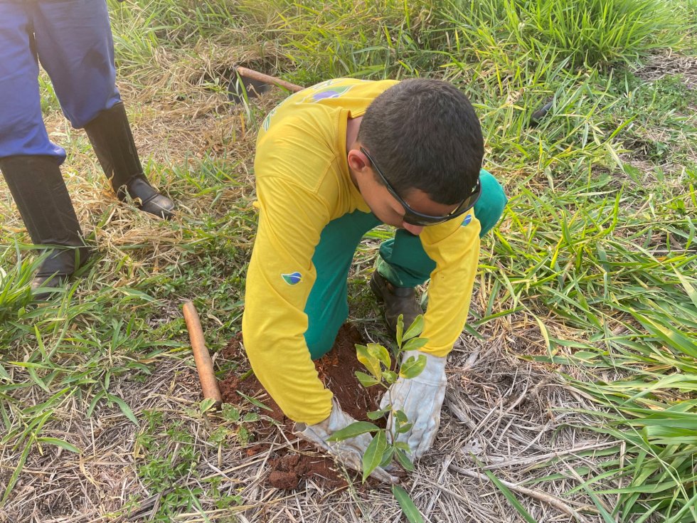 CESP irá restaurar mais de 460 hectares de mata nativa em Mato Grosso do Sul