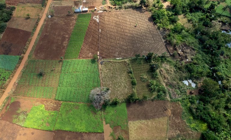 Incra altera regras na seleção de famílias para assentamentos da reforma agrária, incluindo MS