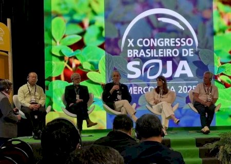 Empresas chinesas desenvolvem novos transgênicos adaptados ao clima do Brasil