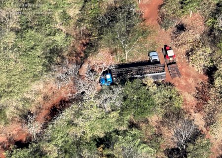 PMA flagra desmatamento e transporte de aroeira