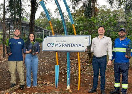 Doação de mudas pela MS Pantanal fortalece a preservação de nascentes na Serra da Bodoquena, em MS