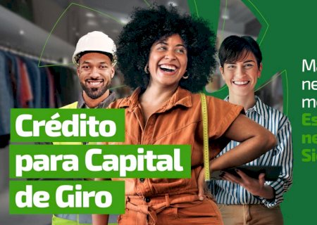 Crédito para impulsionar negócios: conheça o Capital de Giro e o Capital de Giro 13º da Sicredi Centro-Sul MS/BA