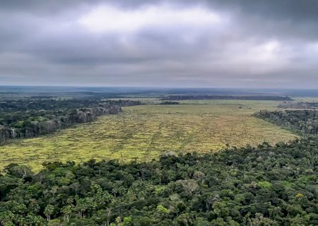 Sociedade civil vê retrocesso grave em queda de vetos de PL Ambiental