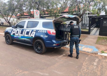 Ivinhema - Polícia Militar atende ocorrência de ameaça e encaminha envolvidas à Delegacia