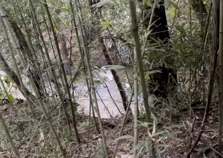 Corpo em decomposição é encontrado às margens de córrego