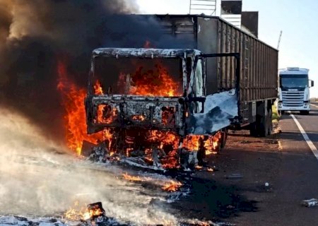 Carreta boiadeira pega fogo na MS-395, entre Anaurilândia e Bataguassu; bois são soltos para escapar das chamas