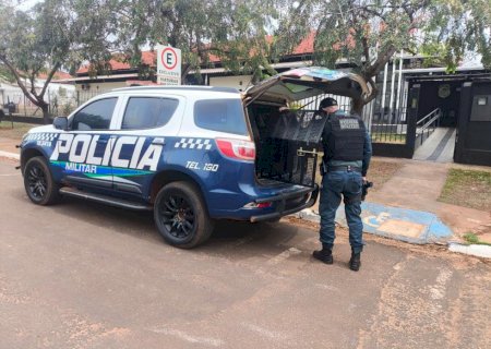 Polícia Militar prendeu três homens por descumprimento de medida protetiva