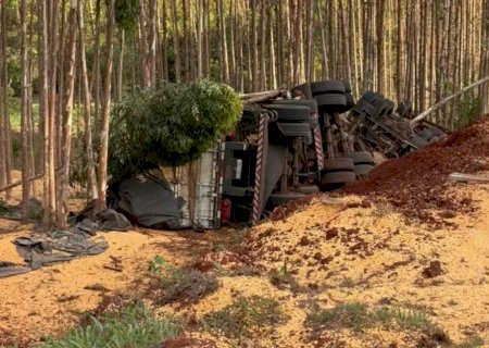 Caminhoneiro morre após carreta carregada de milho tombar em rodovia de MS